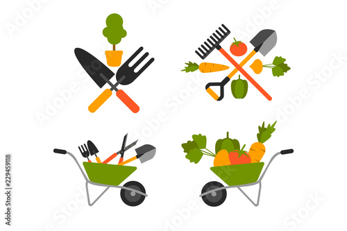 Gardening tools and vegetables