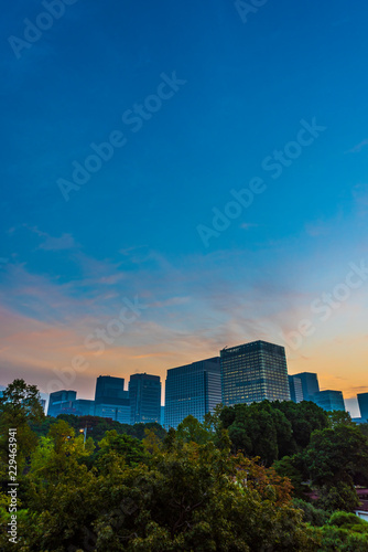 夜明けの高層ビル群　丸ノ内  The sky at daybreak in Marunouchi, Tokyo, Japan