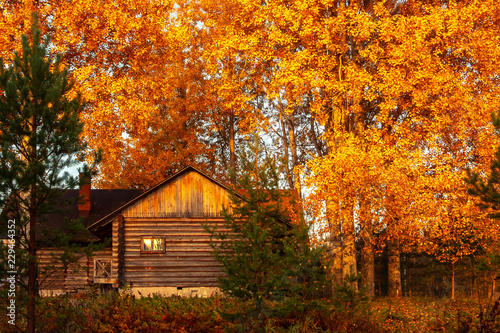 Rustic log house surrounded by autumn trees at sunrise on a foggy morning. Beautiful rural landscape