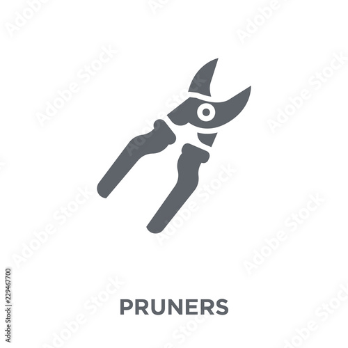 Pruners icon from Agriculture, Farming and Gardening collection.