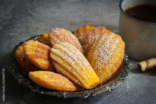 Classic Homemade Madeleines - French sponge cake baked in shell shaped mold photo