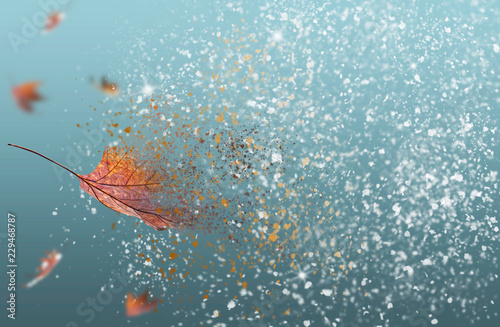DRY AUTUMN MAPLE LEAF IS DISPERSING AND TRANSFORMING TO WHITE SNOW photo