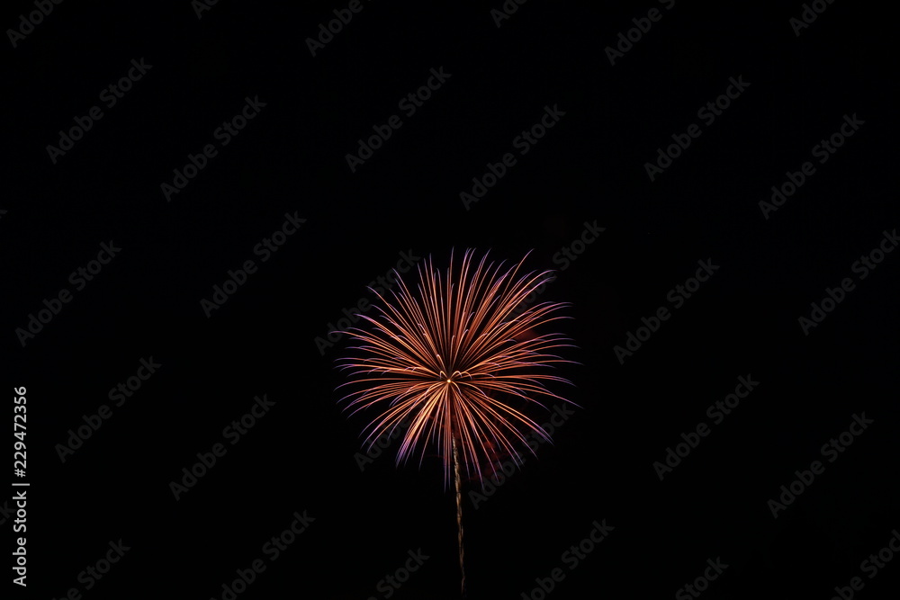 Firework