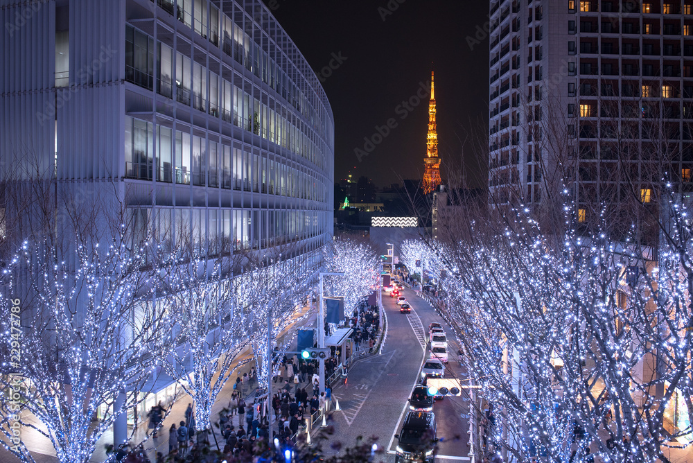 Illuminated Roppongi Keyakizaka Street and Tokyo Tower　六本木けやき坂イルミネーションと東京タワー