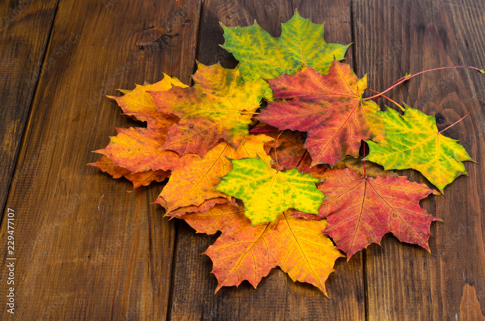 Obraz premium Autumn maple leaves on wooden background