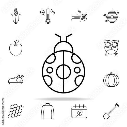 ladybug icon. autumn icons universal set for web and mobile
