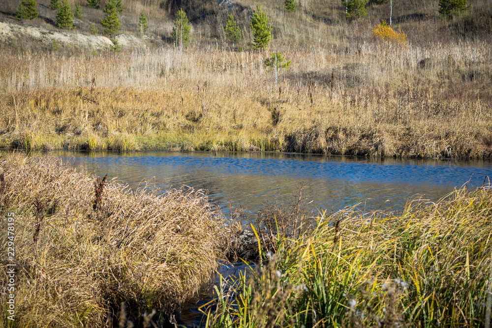 Small pond on the autumn field with old dry grass Small pond on the autumn field with old dry grass