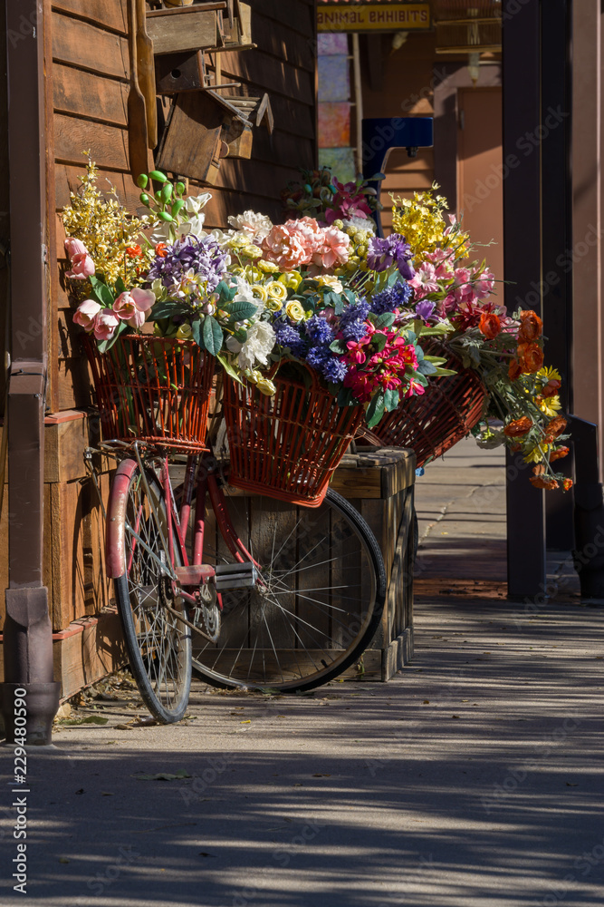 flower bike 2