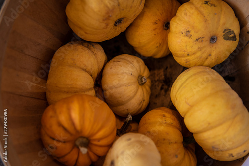 pile of yellow, orange pumpkins in the bucket farmers market