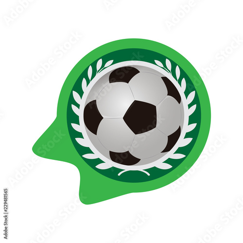 Soccer ball on a label with a laurel wreath. Vector illustration design