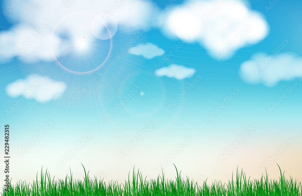 Abstract blue sky blurred gradient background. Nature blurred bokeh background with sunlight and Cloud with grass.
