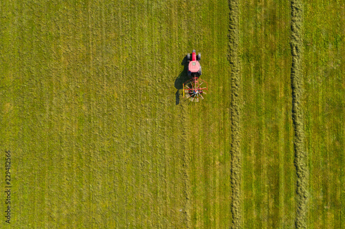 Red tractor windrowing hay, top down aerial view photo