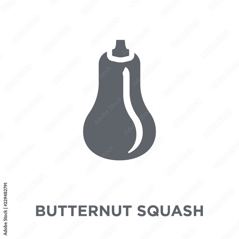 Butternut squash icon from Fruit and vegetables collection. Butternut squash icon from Fruit and vegetables collection.