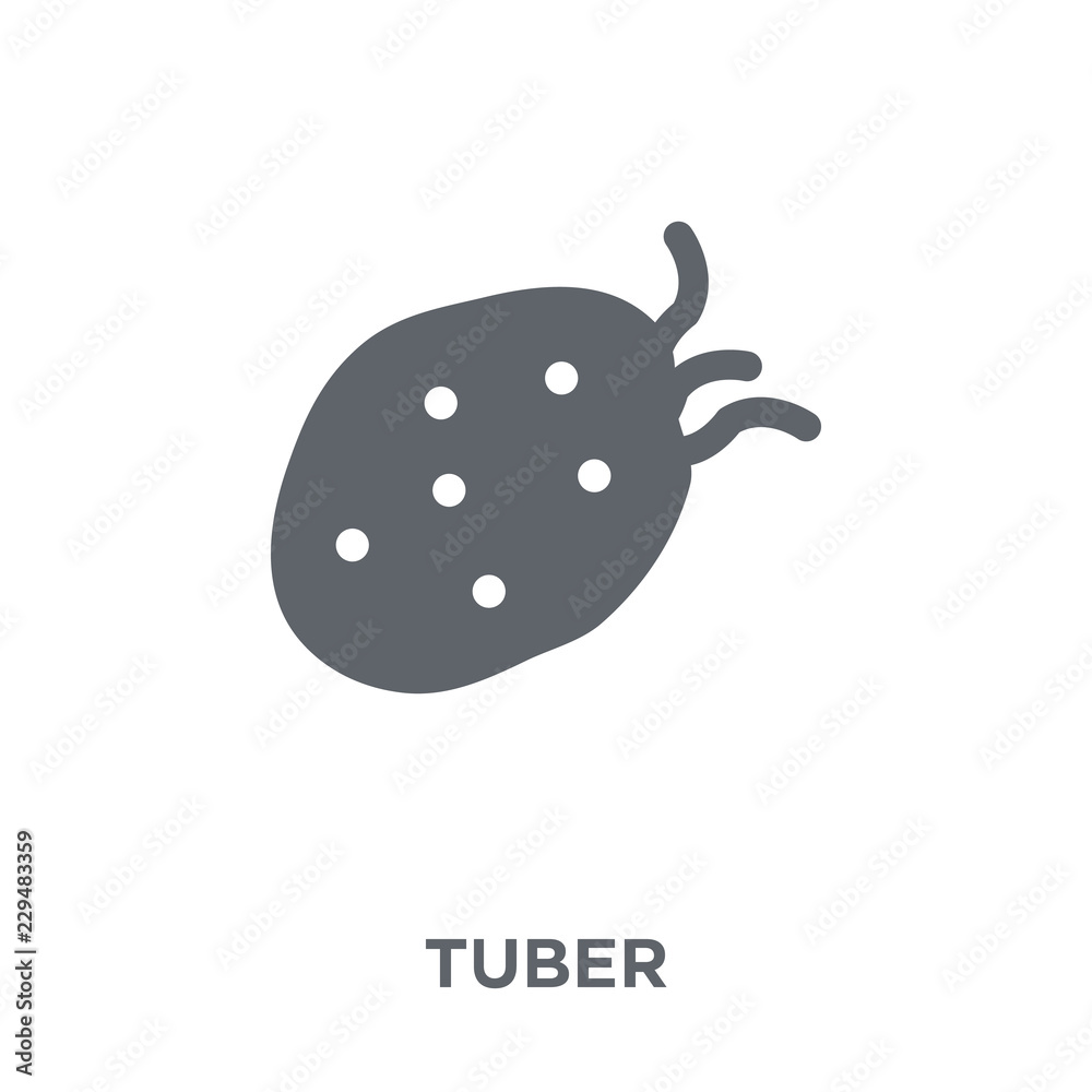 Tuber icon from Fruit and vegetables collection. Tuber icon from Fruit and vegetables collection.