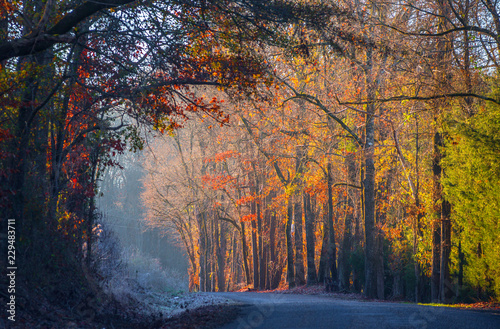 early morning light
