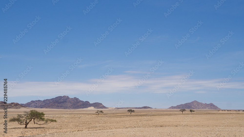 desert and blue sky. Line of trees