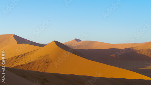 sand dunes in the desert. Simple landscape