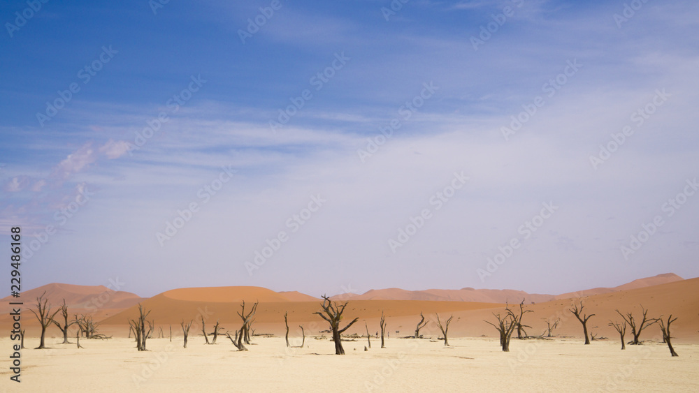 Blue sky in desert of Namib. Landscape Blue sky in desert of Namib. Landscape