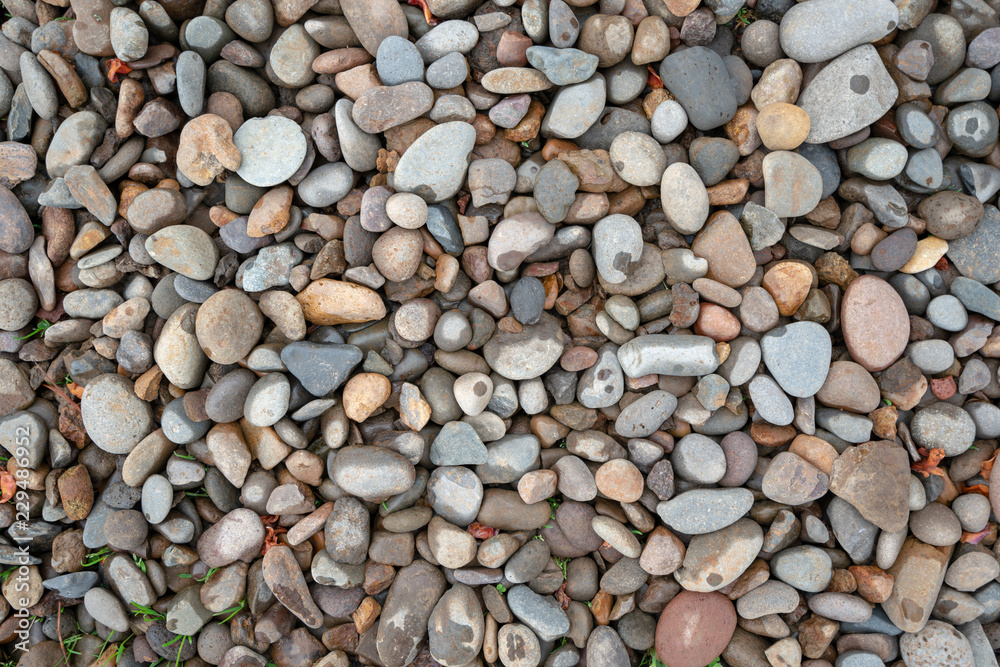 pebbles on the beach pebbles on the beach