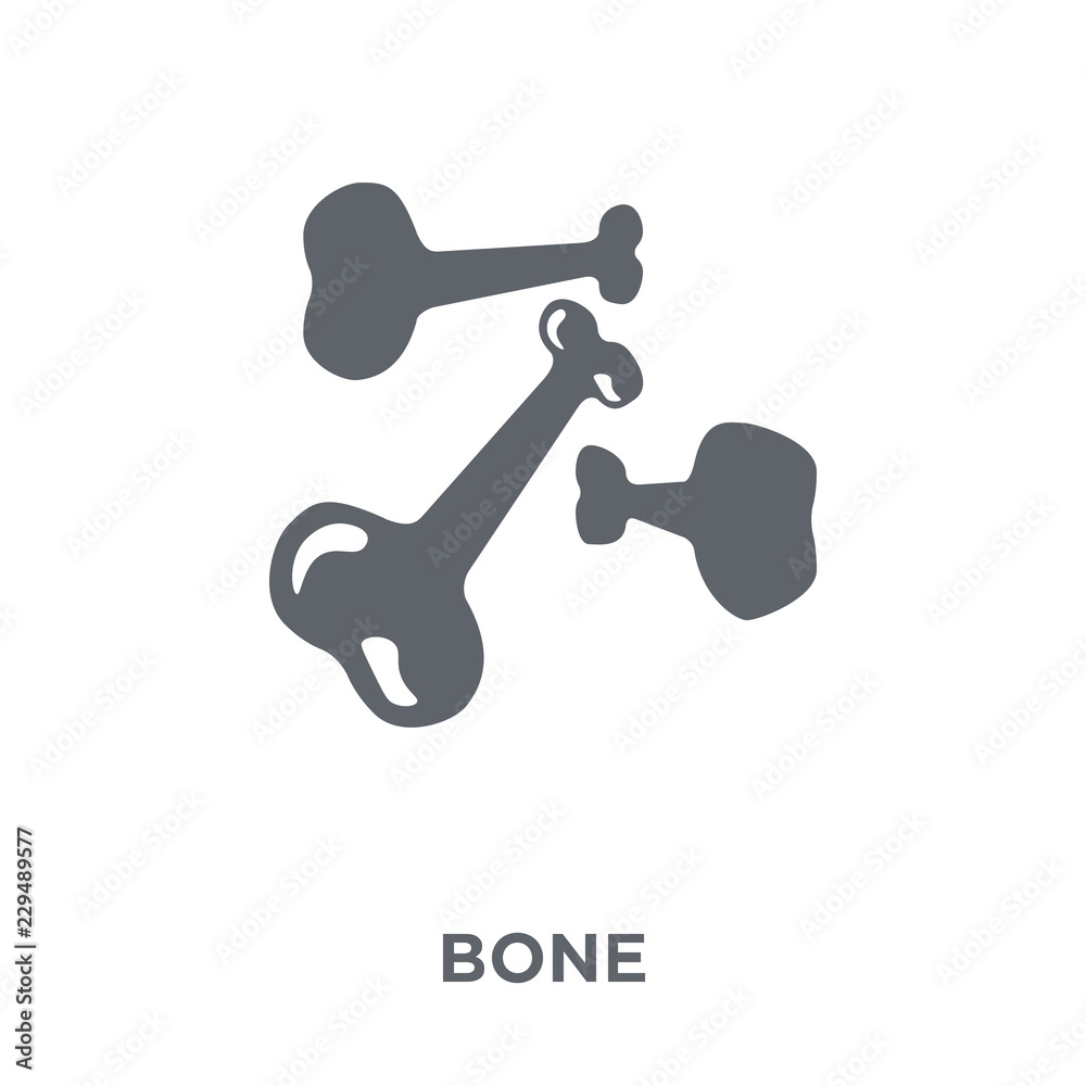 Bone icon from collection. Bone icon from collection.