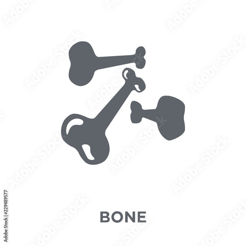 Bone icon from collection.