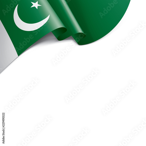 Pakistan flag, vector illustration on a white background