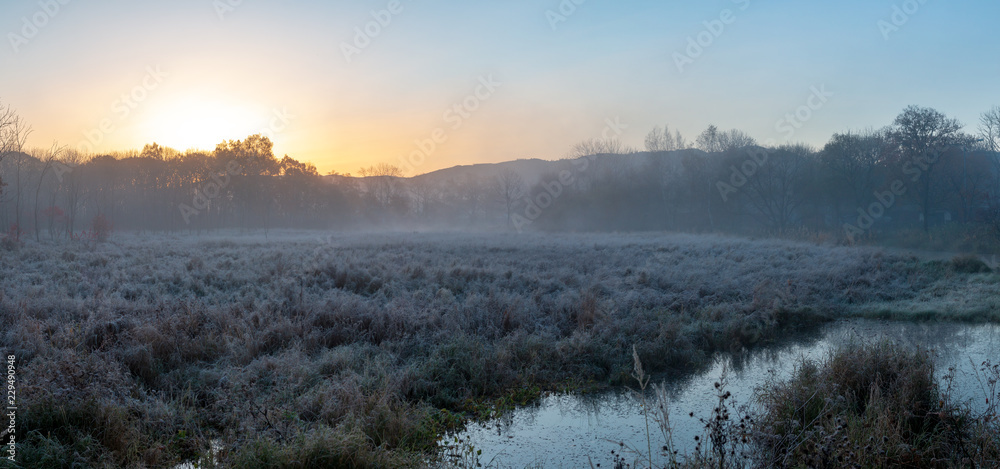 Autumn landscape of early foggy morning in the far east of Russia.