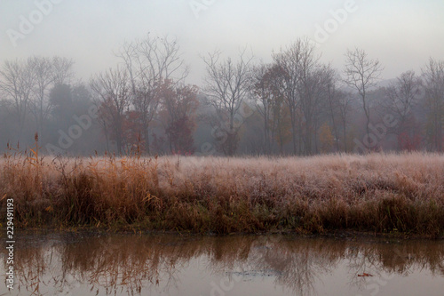 Autumn landscape of early foggy morning in the far east of Russia.