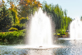 Fountain on the lake in the landscape park Mezhigirya near Kiev, Ukraine.