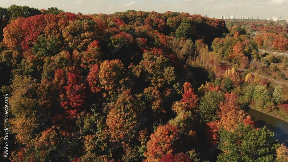 Fall colour over Don Valley Parkway Toronto Ontario Canada