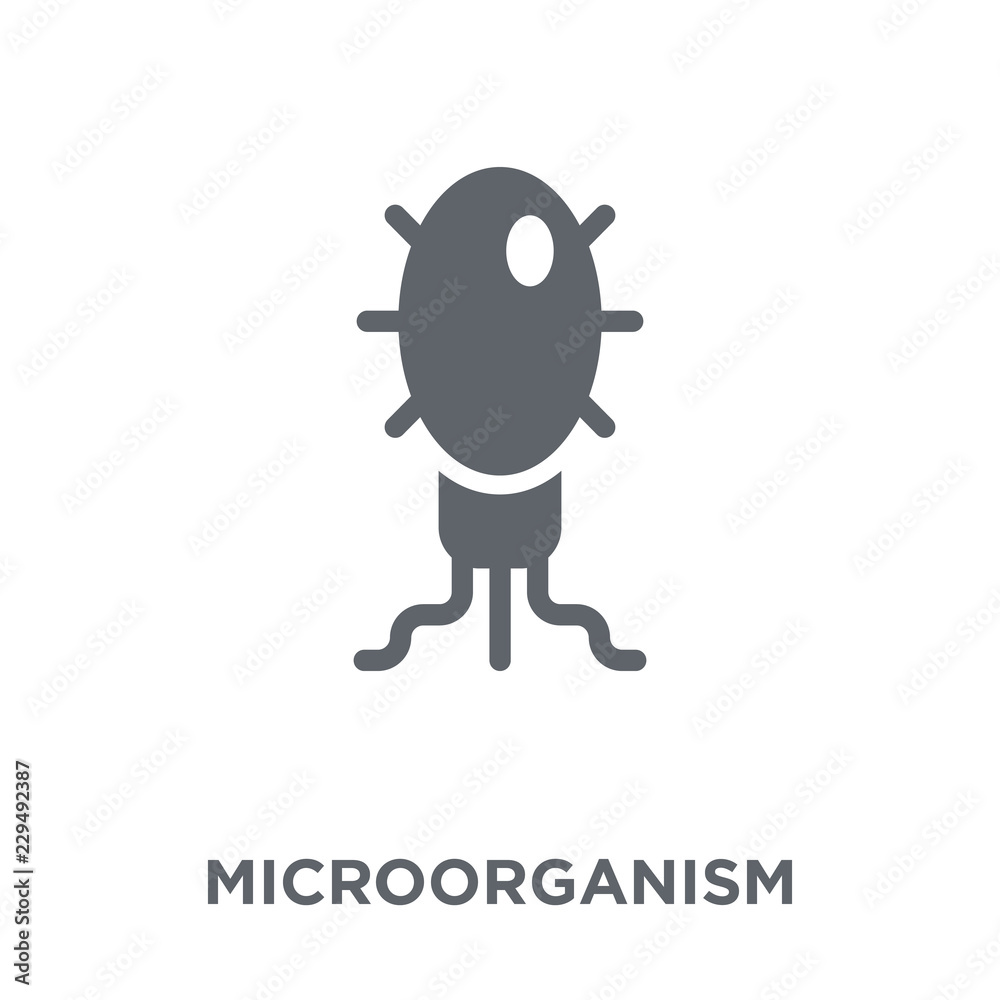 Microorganism icon from Science collection. Microorganism icon from Science collection.