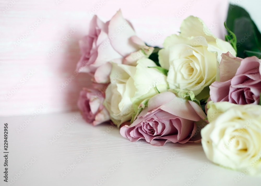 white and lilac roses on a pink wooden background