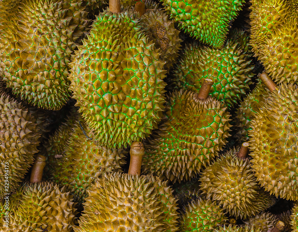 Group of fresh durians in the durian market. Group of fresh durians in the durian market.