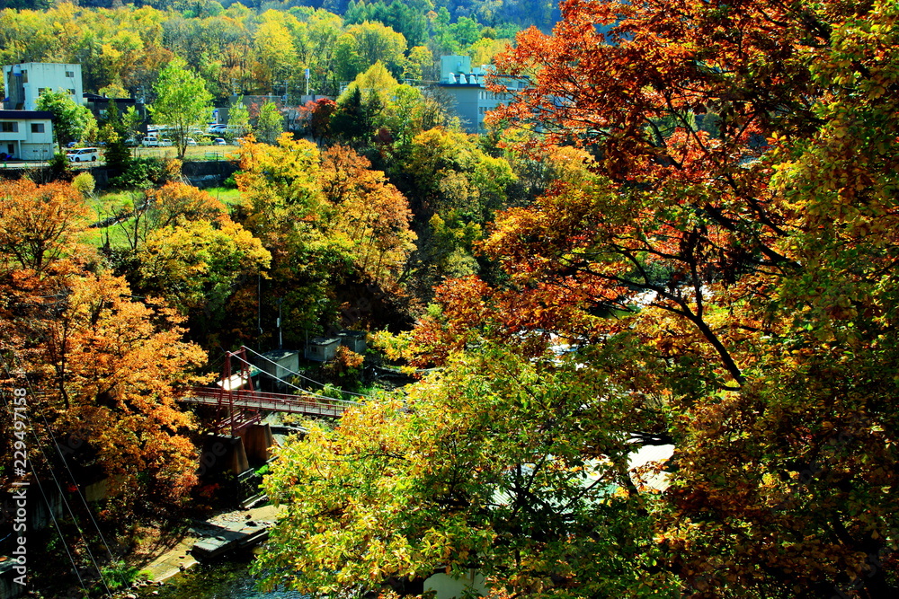 北海道、札幌市、定山渓温泉の紅葉の風景
