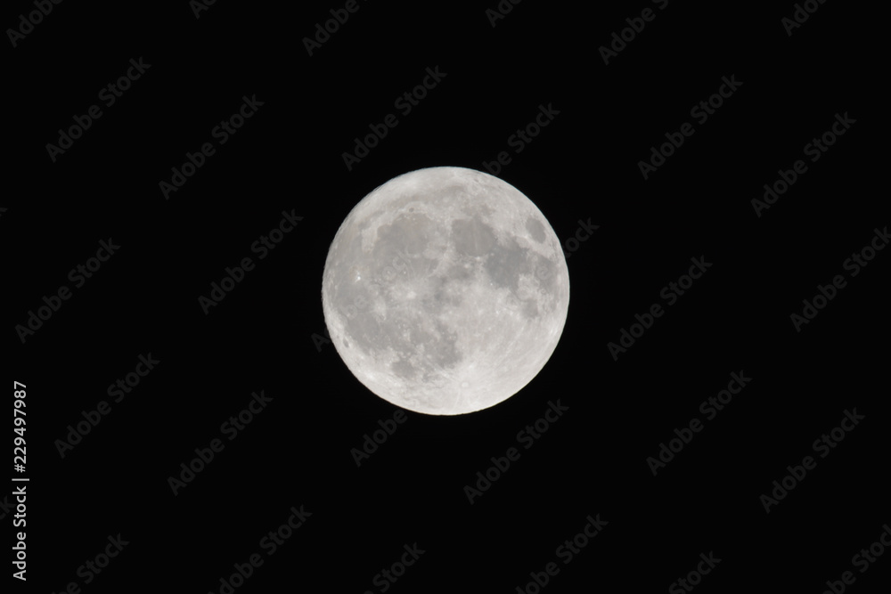 Fototapeta premium 98% illumination waxing gibbous moon