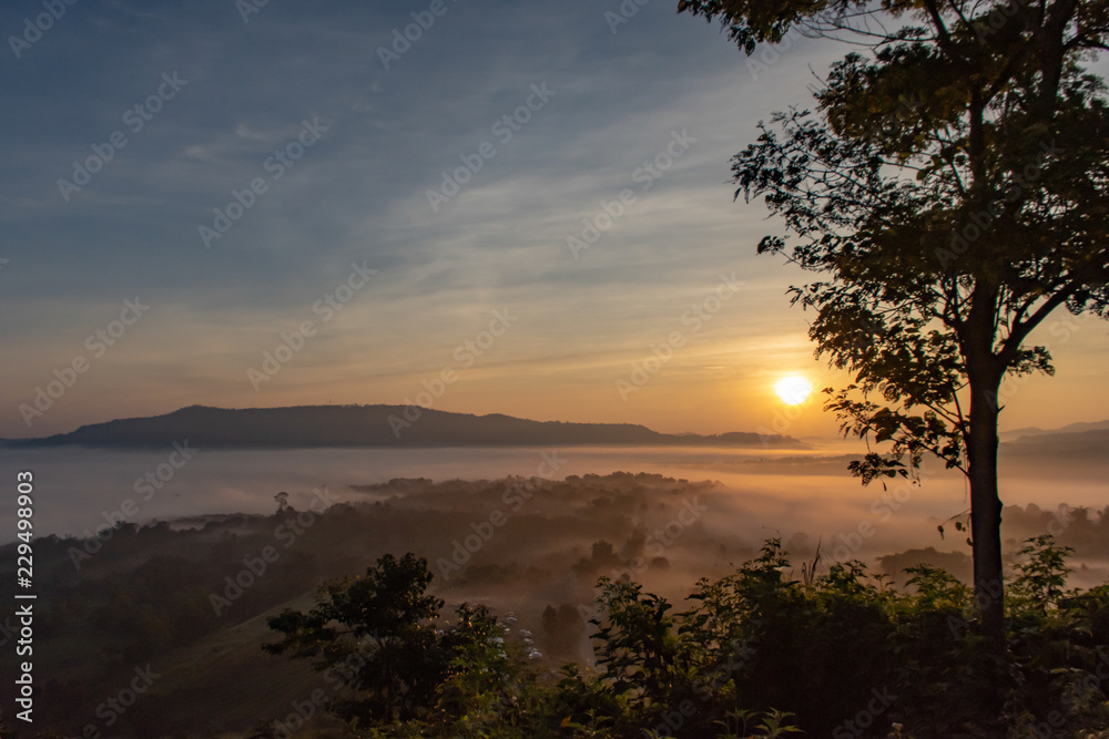 Fog and sun Morning after mountain.