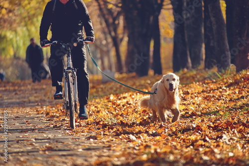 Photography walking with a dog on a Bicycle