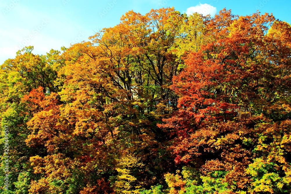 北海道、札幌市、定山渓温泉の紅葉の風景