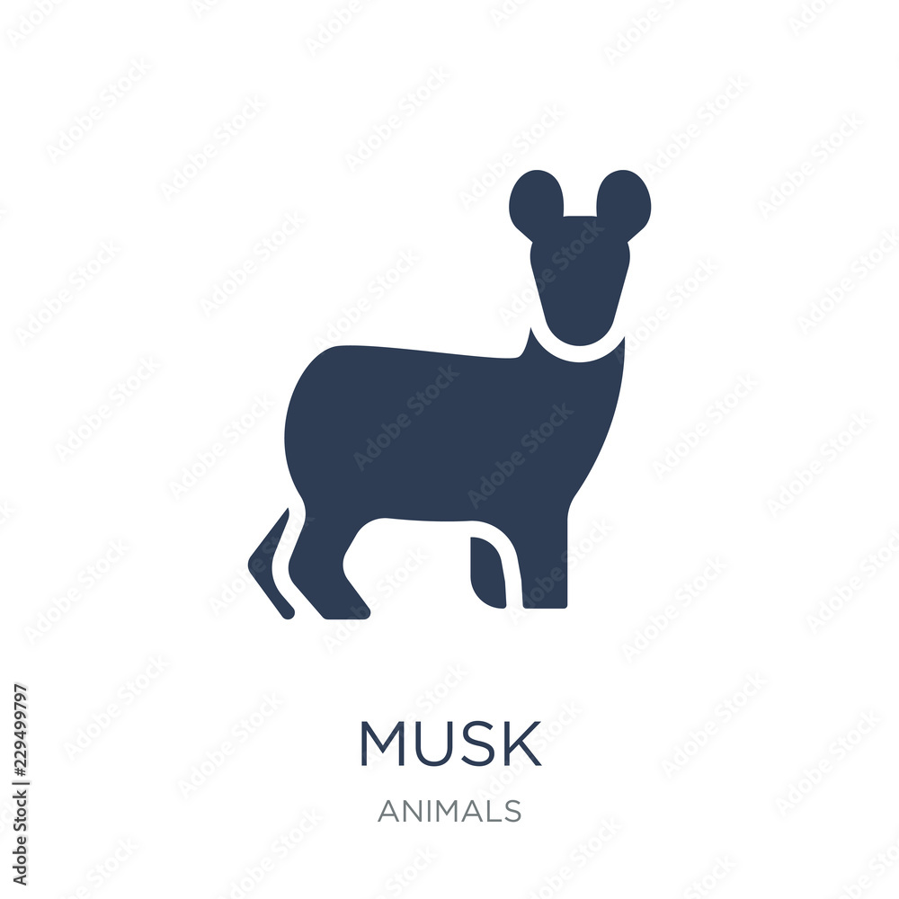 Obraz premium Musk icon. Trendy flat vector Musk icon on white background from animals collection