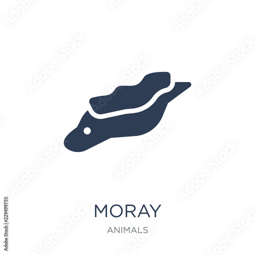 Moray icon. Trendy flat vector Moray icon on white background from animals collection