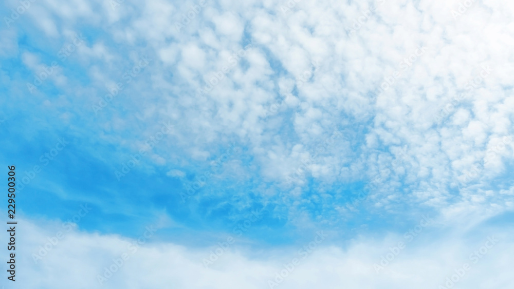 Fototapeta premium White cloud on a blue sky for a nature background.