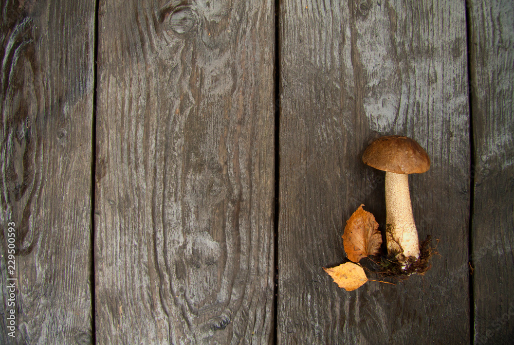 wild forest autumn mushrooms and leaves on a dark wooden rustic background wild forest autumn mushrooms and leaves on a dark wooden rustic background