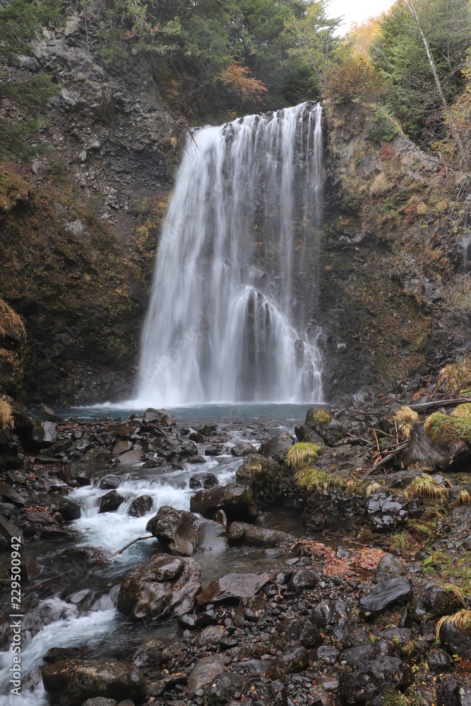 Fototapeta premium 善五郎の滝