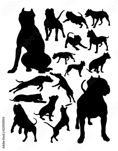 Pitbull dog animal silhouette. Good use for symbol, logo, web icon, mascot, sign, or any design you want.