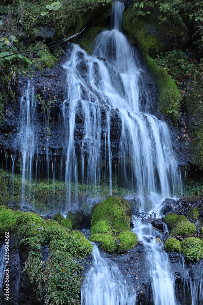 Fototapeta premium 吐竜の滝