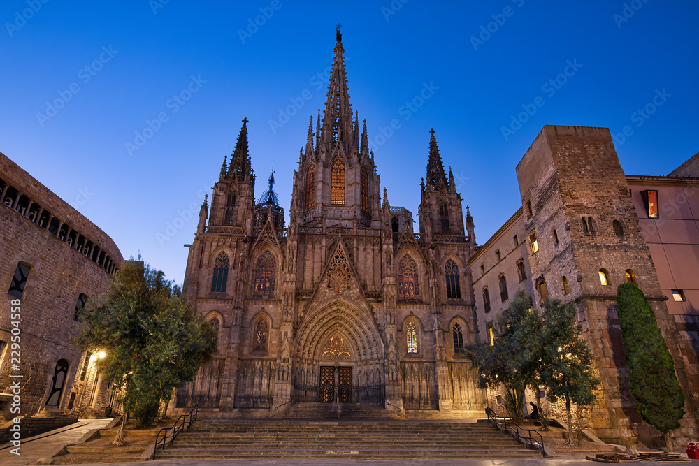 Barcelona cathedral before the dawn