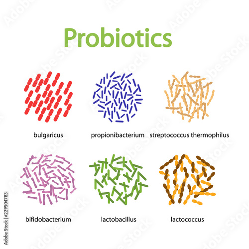 Microscopic probiotics set. Good bacteria and microorganisms for human health.  Bacterial microflora vector design