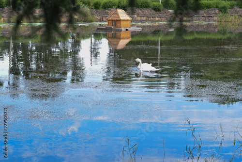 Lake with a house for swans