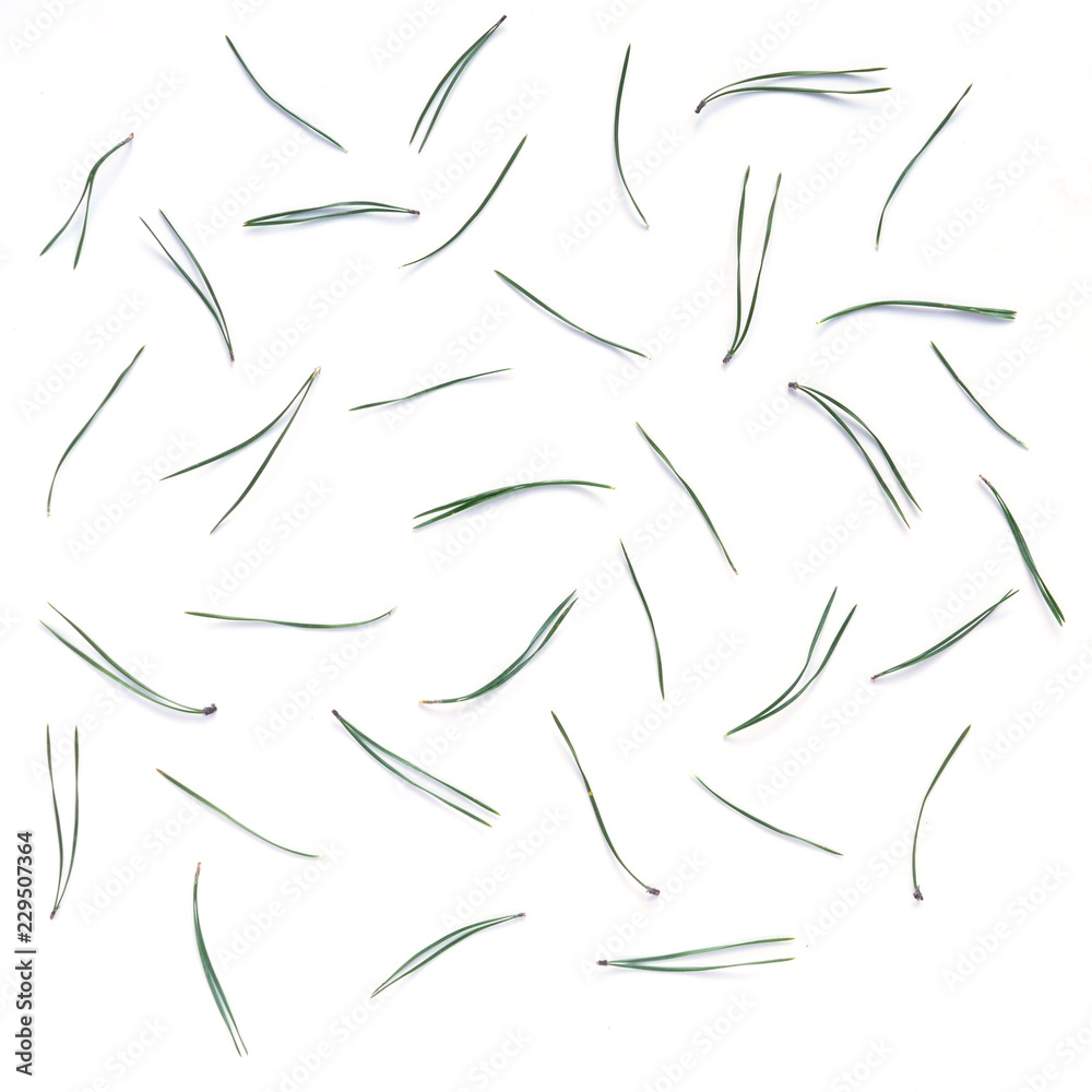 Pattern of pine needles, flat layout, top view.