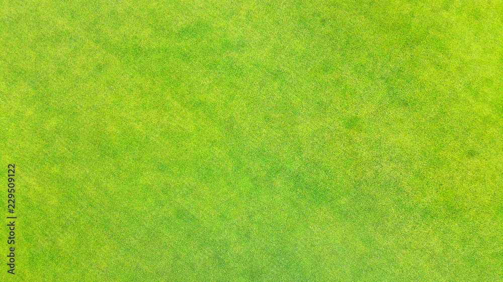 Aerial. Green grass texture background. View above from bird's eye view